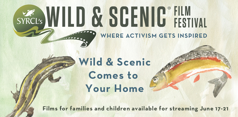 Wild & Scenic Film Festival