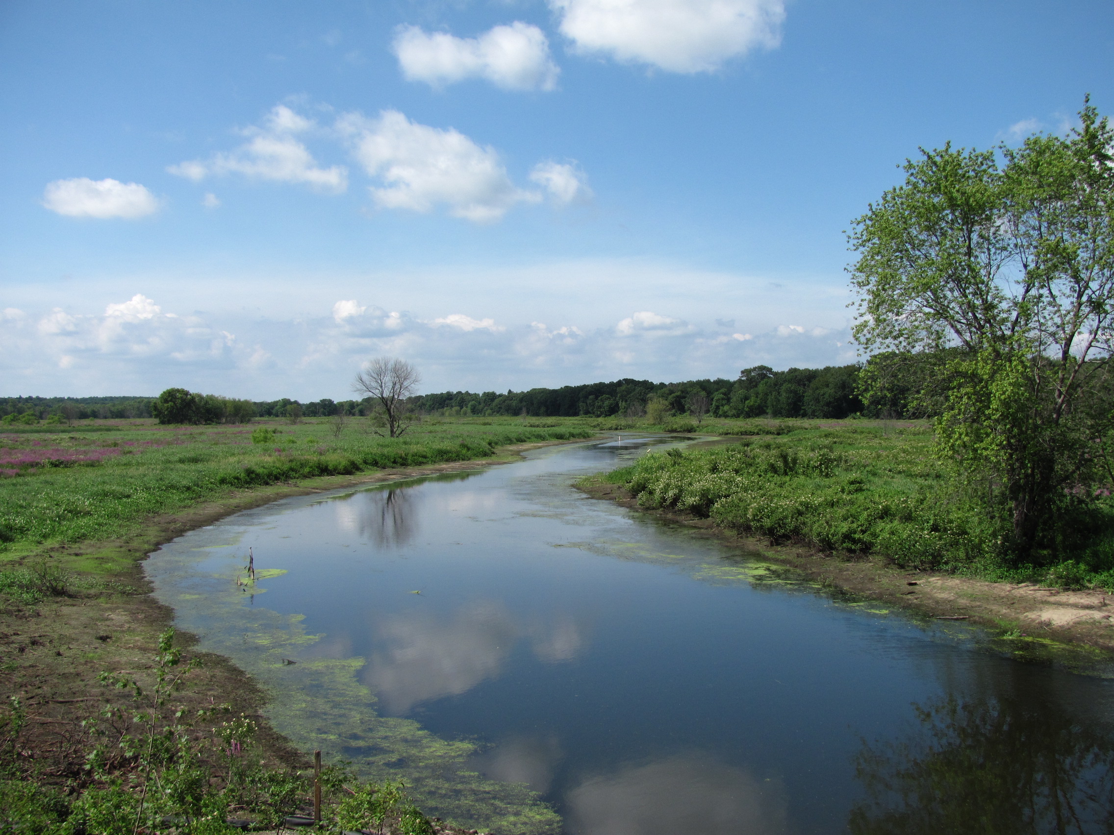 Stewardship